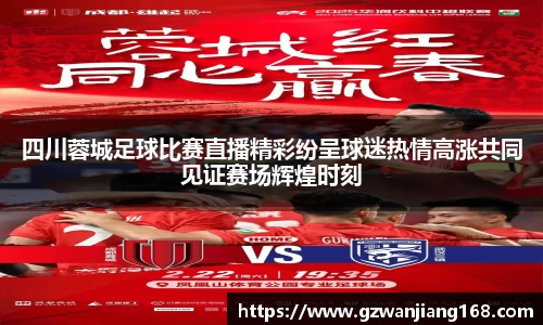 四川蓉城足球比赛直播精彩纷呈球迷热情高涨共同见证赛场辉煌时刻