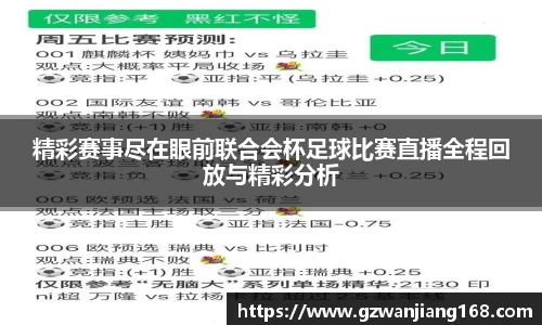 精彩赛事尽在眼前联合会杯足球比赛直播全程回放与精彩分析